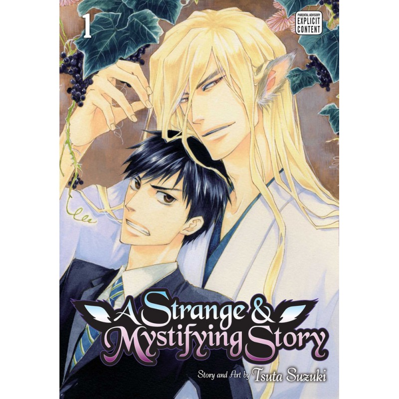 A Strange And Mystifying Story Manga Volume 01